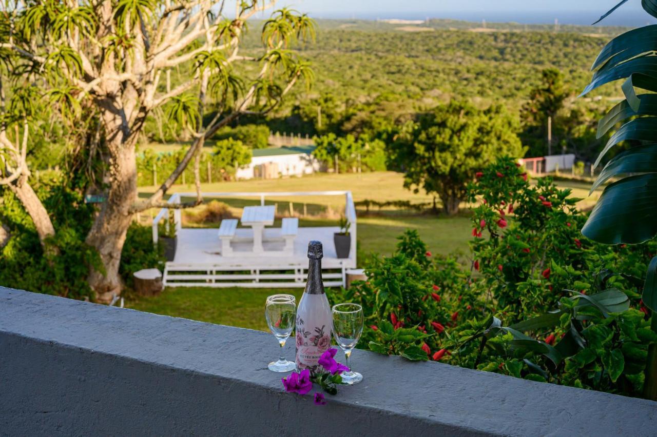 302 On Old Sea View Road Chelsea Lejlighed Port Elizabeth Eksteriør billede